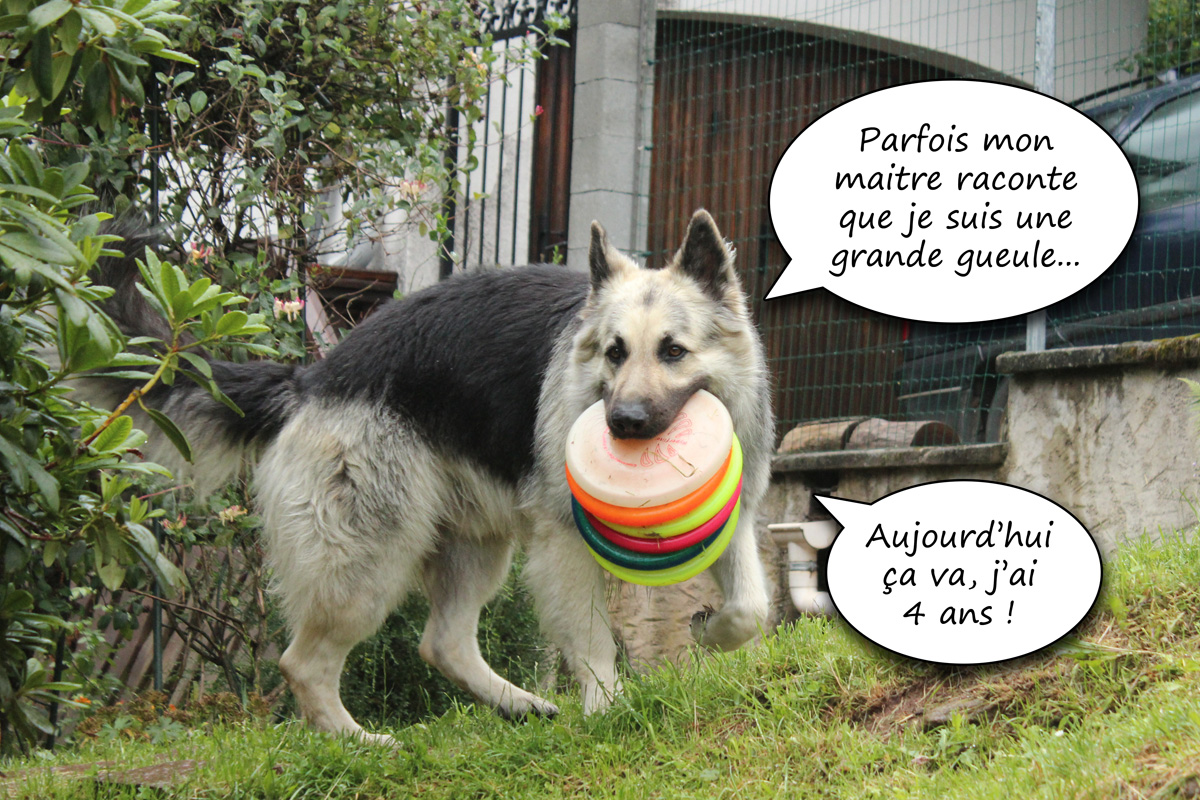 6 Frisbees... pas de soucis !