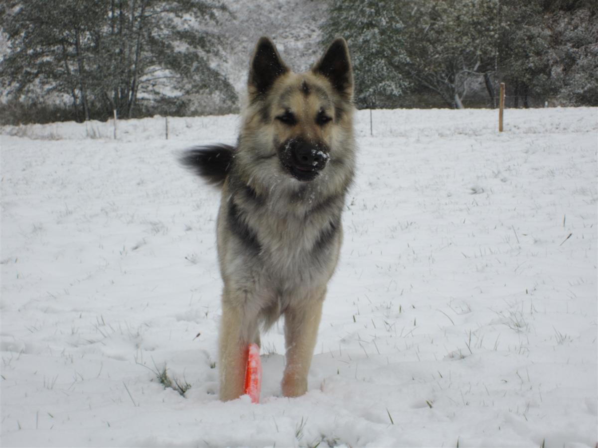 La neige ca pique les yeux !