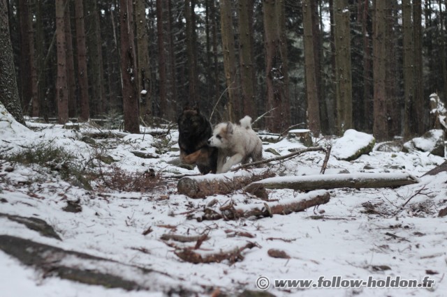 Youuhoooo !!!! C'est rigolo de faire la course dans la neige !