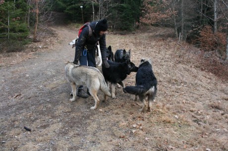 La bande de potes