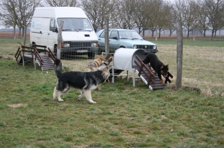 ... mais qui nous nargue parce qu'elle peut jouer avec les trucs de chiots