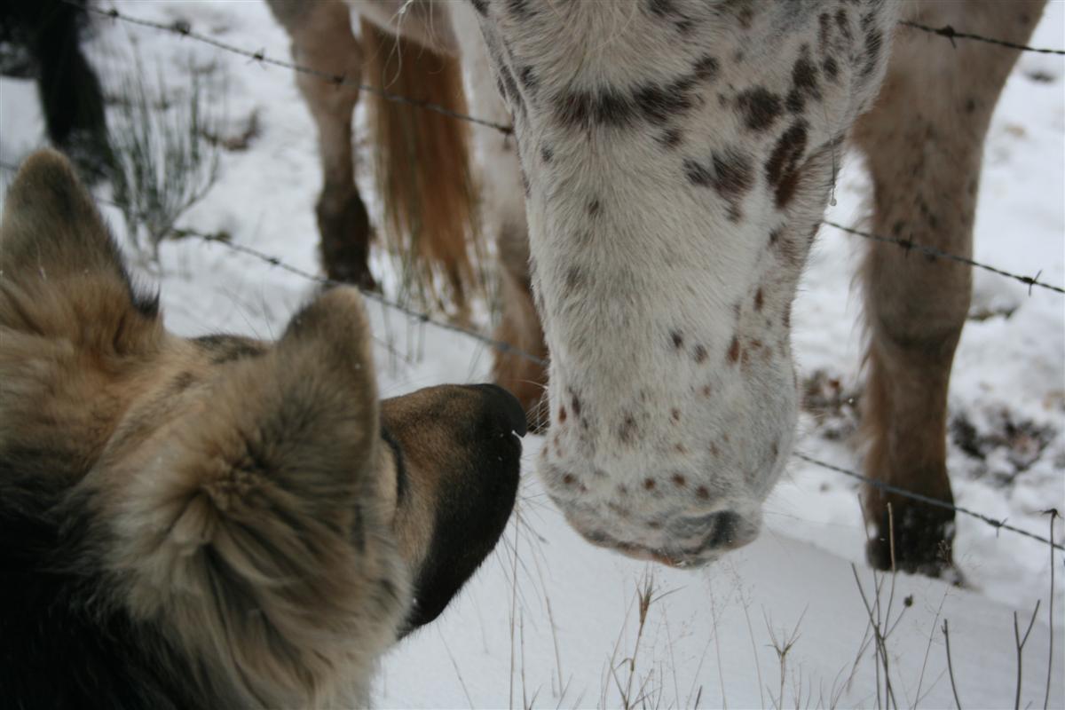 Il était super sympa ce cheval !