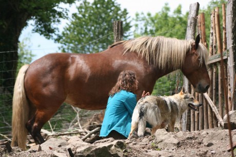 Tina qui nettoie super biens les enclos !