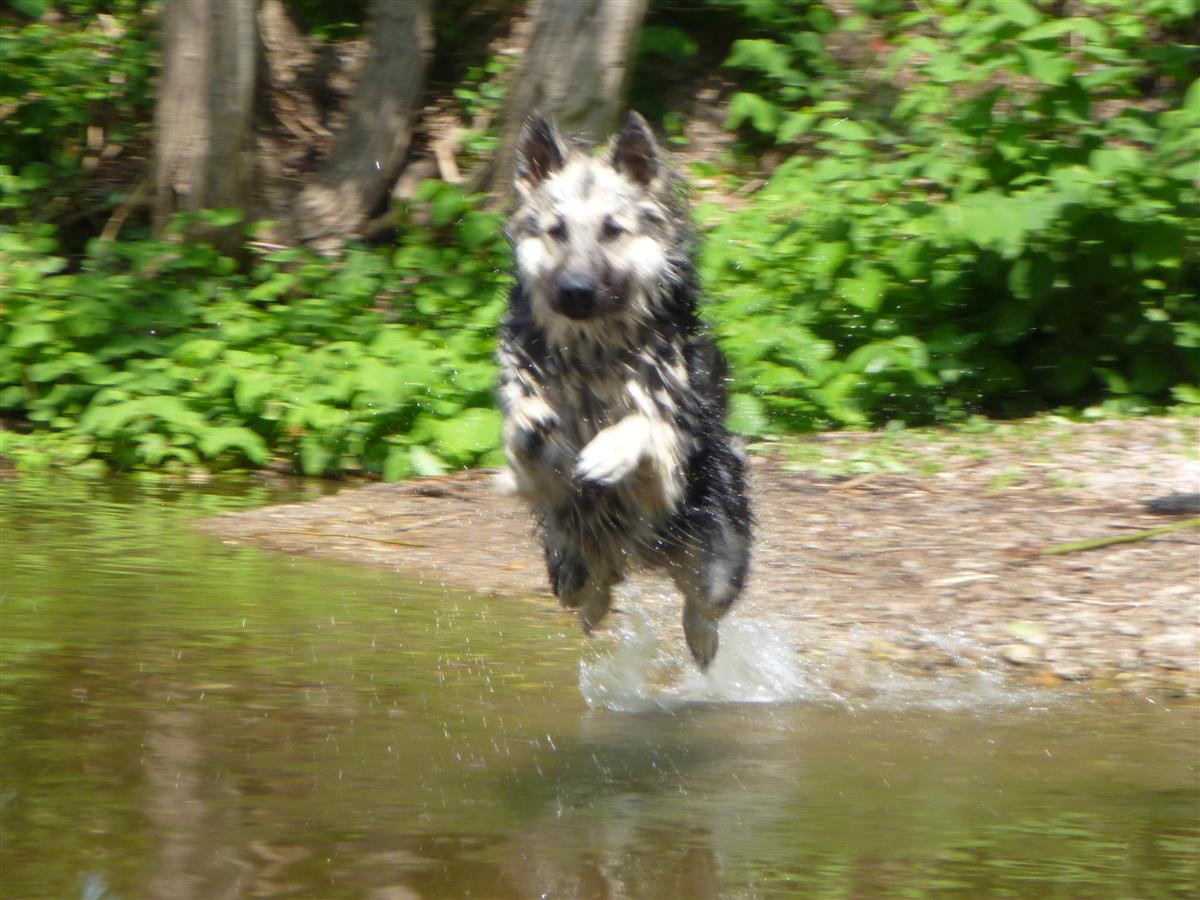 Yahhhhoooo !!! Tous à l'eau !!!!