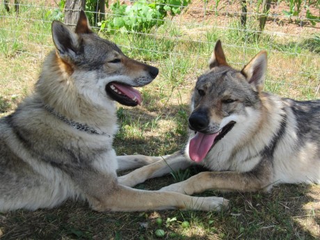 Epice et Floyd, un vrai couple