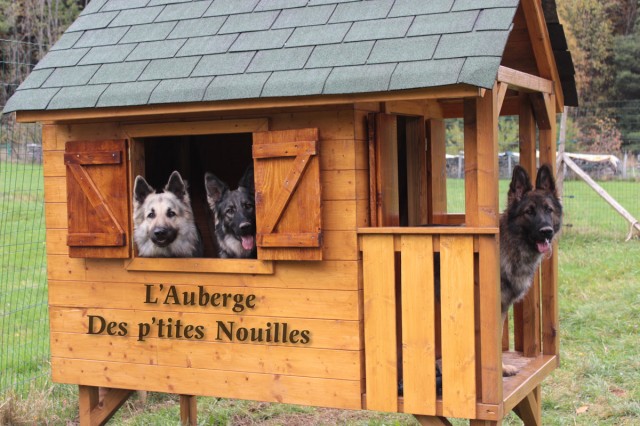 L'Auberge Des p'tites Nouilles