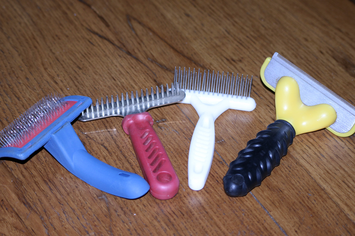 Différentes brosses pour chien