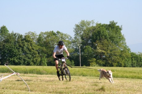 C'est déjà un peu plus sport comme ça le Canivtt !