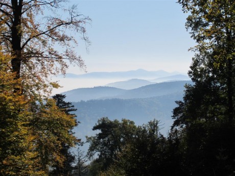 La plaine dans le brouillard