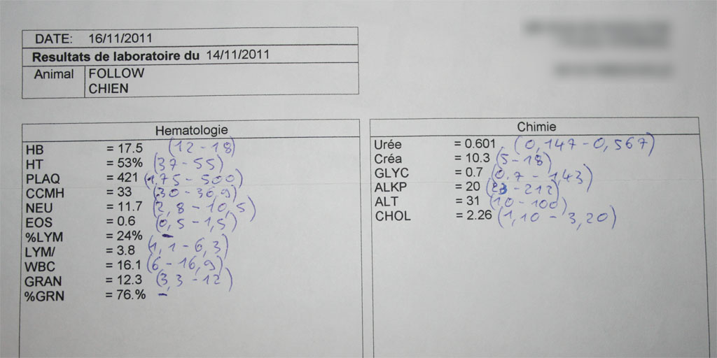 Les résultats de ma prise de sang