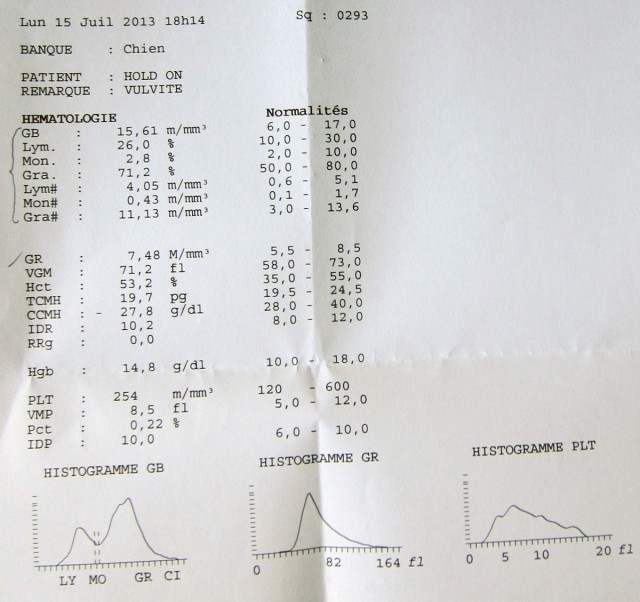 Résultats de la prise de sang