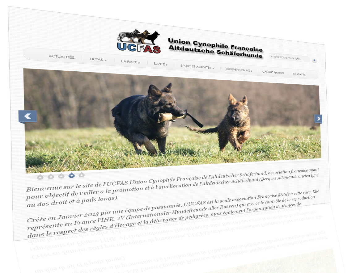 Le site de l'UCFAS enfin en ligne !